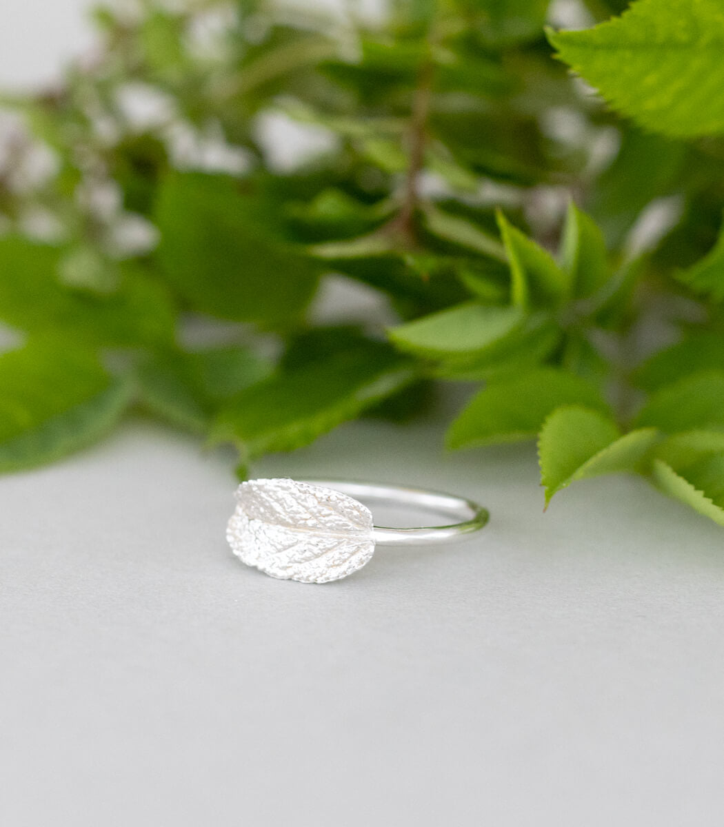 Silber Ring Salbeiblatt Gr. 53 – handgefertigter Naturschmuck aus echtem Salbeiblatt, Recyclingsilber goodrun