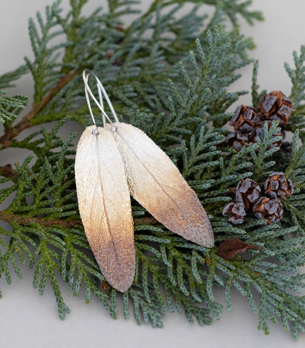 Salbeiblatt Ohrhänger Silber
