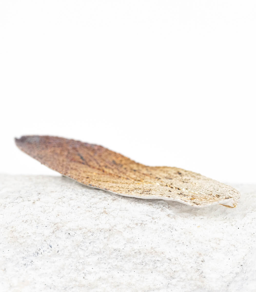 Silber Brosche Salbeiblatt – Rückseite mit Stecknadel, handgefertigter Naturschmuck aus Recyclingsilber
