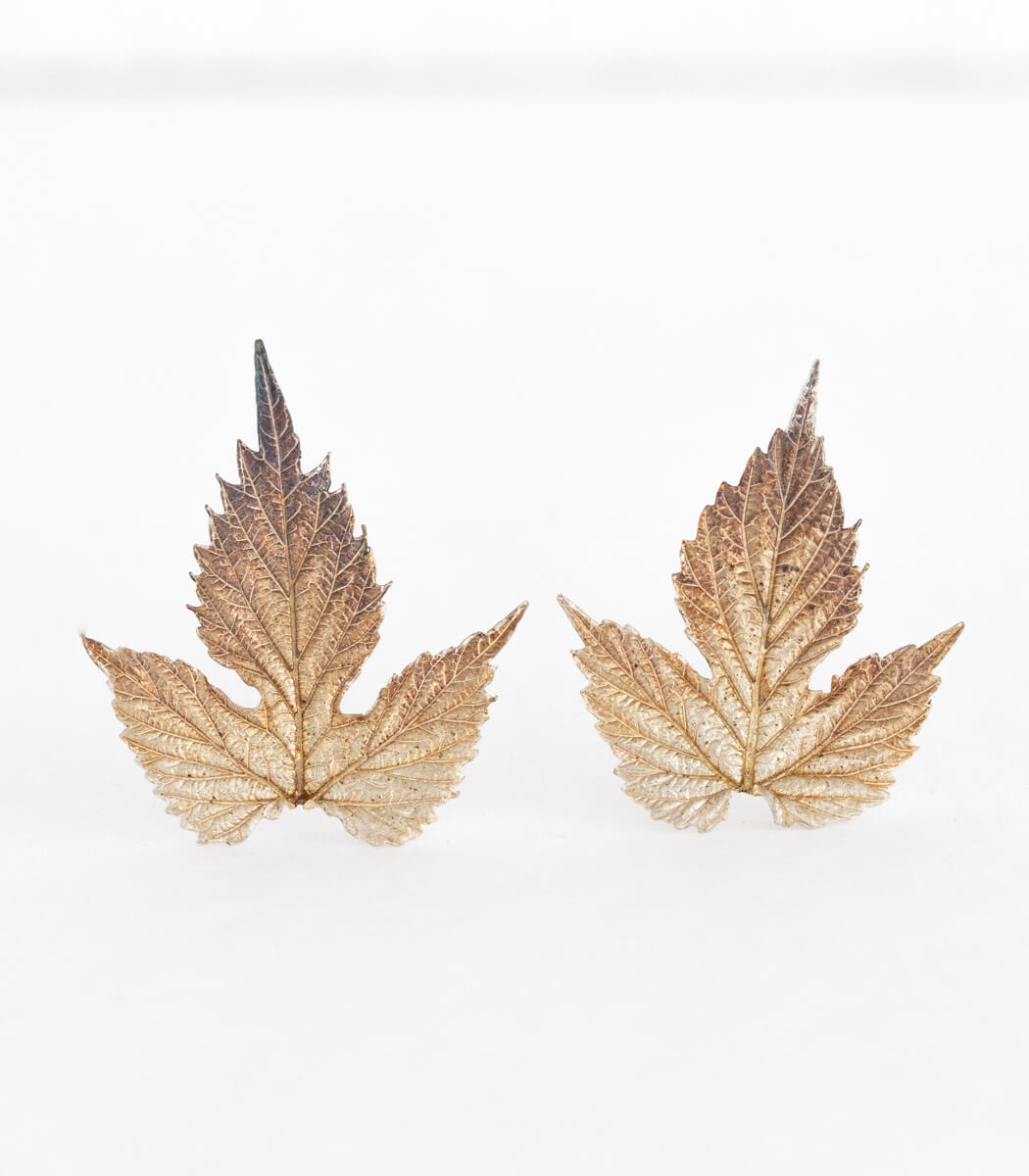 Silber Ohrstecker Hopfenblatt – handgefertigter Naturschmuck aus echtem Hopfenblatt, Recyclingsilber goodrun