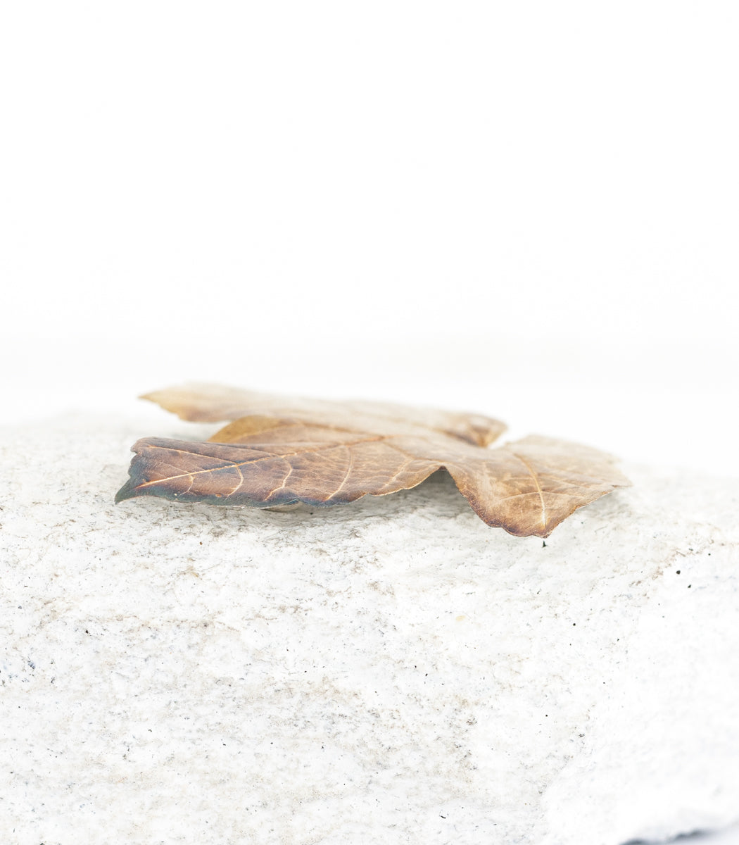Silber Brosche Ahorn – zweites Stück Rückseite mit Stecknadel, Naturschmuck Einzelstück